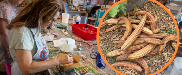 Central Texas Food Bank Garden Workshop