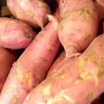 Click here for more information about Fresh Sweet Potatoes